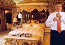 Trump in a gold room