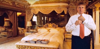 Trump in a gold room